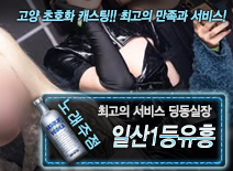 오피스타 | [일산1등유흥-딩동실장 ]