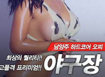 오피스타 | [남양주오피-야구장]