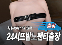 오피스타 | [인천출장-24시뜨밤노팬티출장]