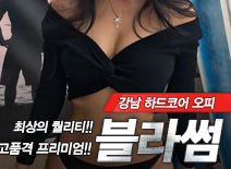 오피스타 | [강남오피-블라썸]