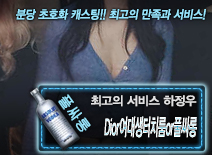 오피스타 | [Dior여대생터치룸or풀싸롱-하정우]