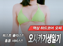 오피스타 | [역삼오피-오사카기생일기]