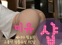 오피스타 | [일산건마-미유1인샵]